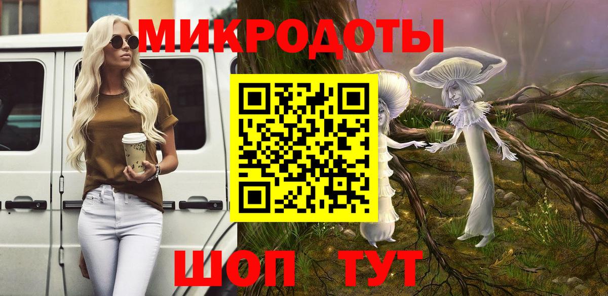 Галлюциногенные грибы Psilocybe Валуйки
