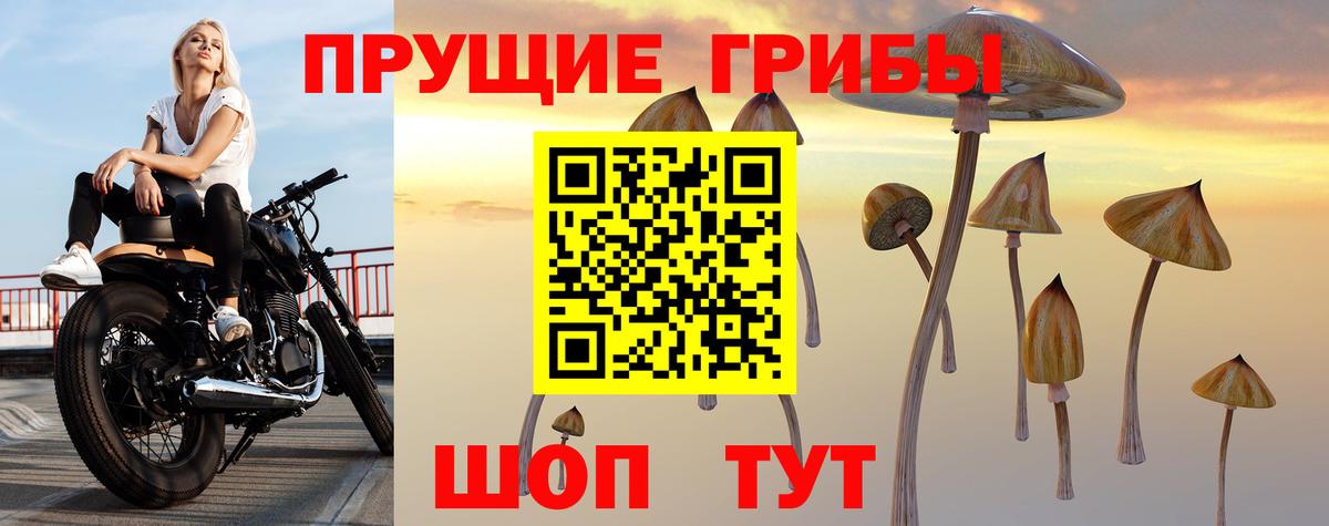Валуйки  Галлюциногенные грибы мухоморы  Псилоцибиновые грибы GOLDEN TEACHER  Вход с VPN 